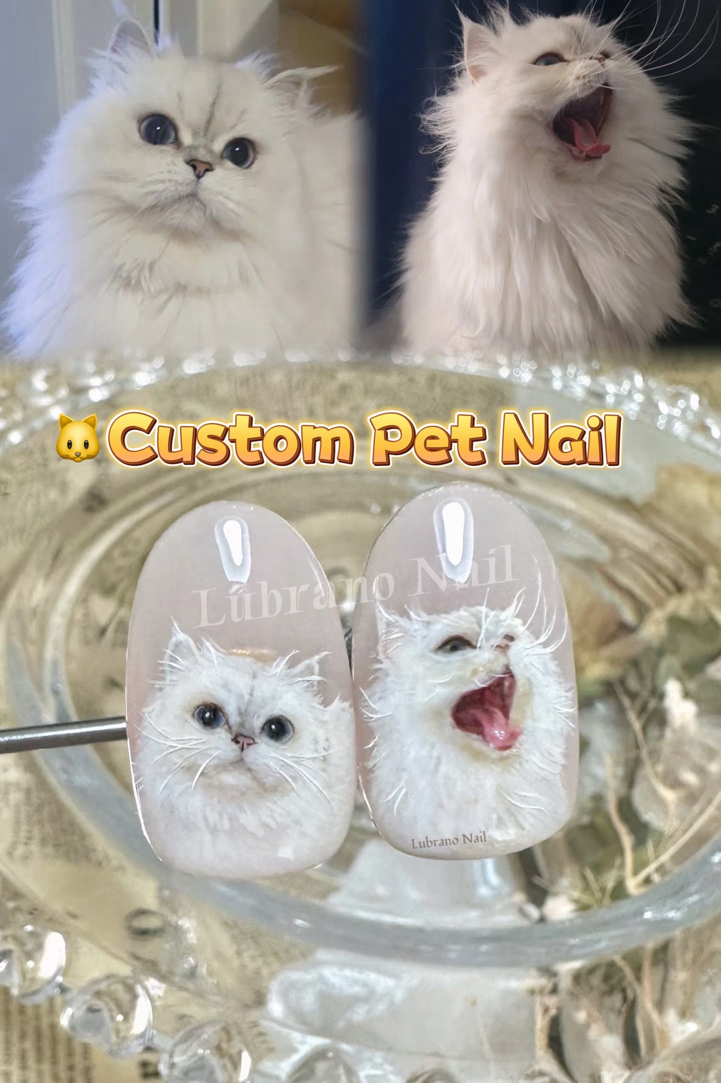 Custom Pet Press-On Nails